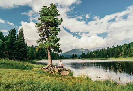 Eine Person sitzt am Ufer eines Bergsees unter einer großen Kiefer, im Hintergrund Wald und Berge.