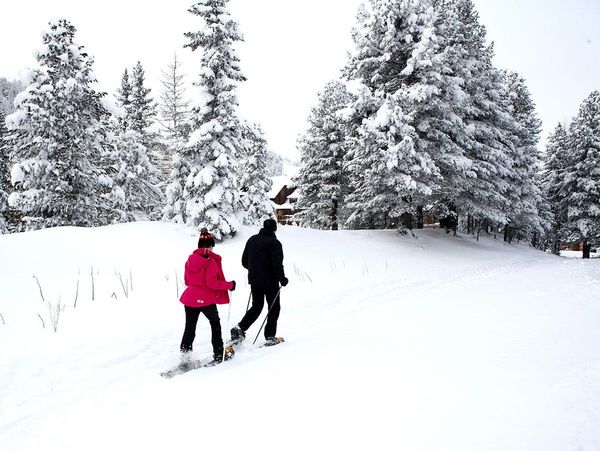 Why not explore the winter landscape with snowshoes?