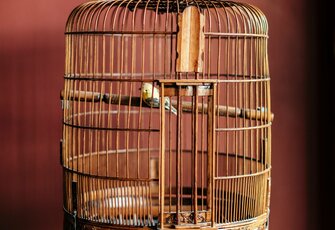 Ein kleiner Vogel sitzt in einem runden Käfig vor rotem Hintergrund.