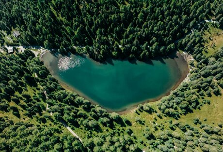 Der Turracher See liegt umgeben von dichtem Wald und Almflächen in den Nockbergen.
