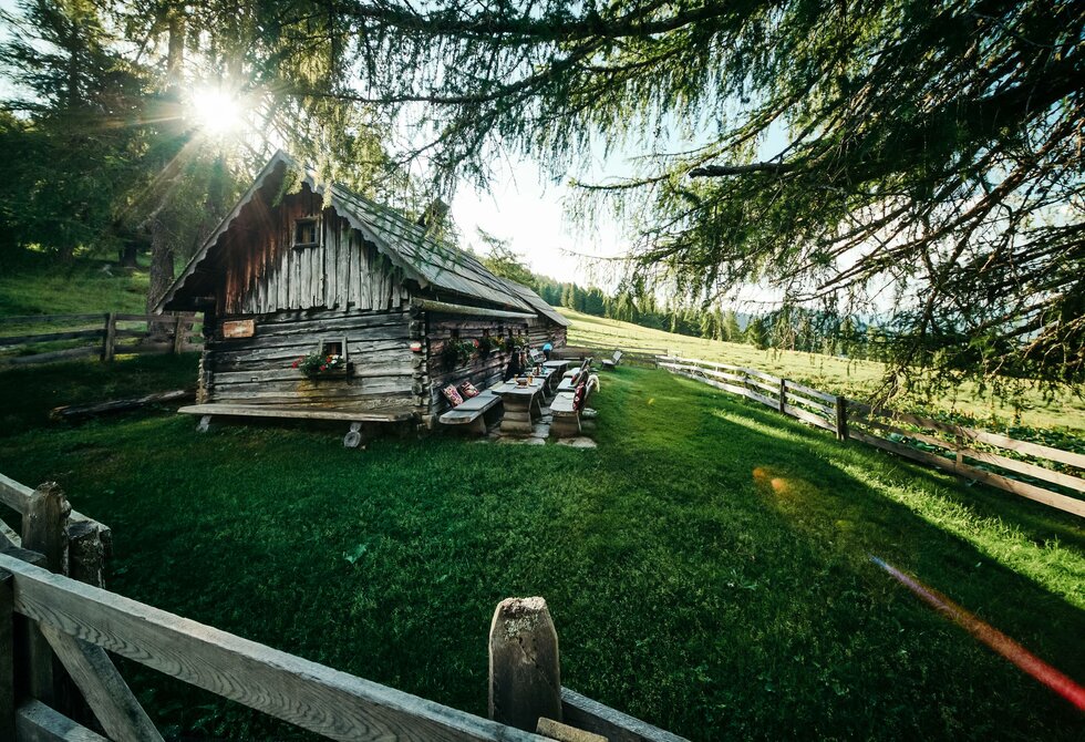 Eine kleine Holzhütte liegt auf einer Wiese am Waldrand, umgeben von Zäunen und mit Bergsonne im Hintergrund.