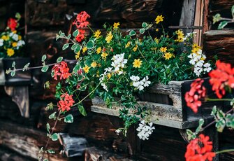 Bunte Blumen wachsen in Balkonkästen vor einer dunklen Holzfassade.