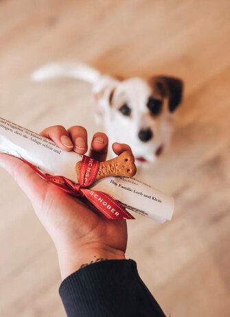 A hand holds a dog biscuit and a folded leaflet, while a small dog looks on in the background.