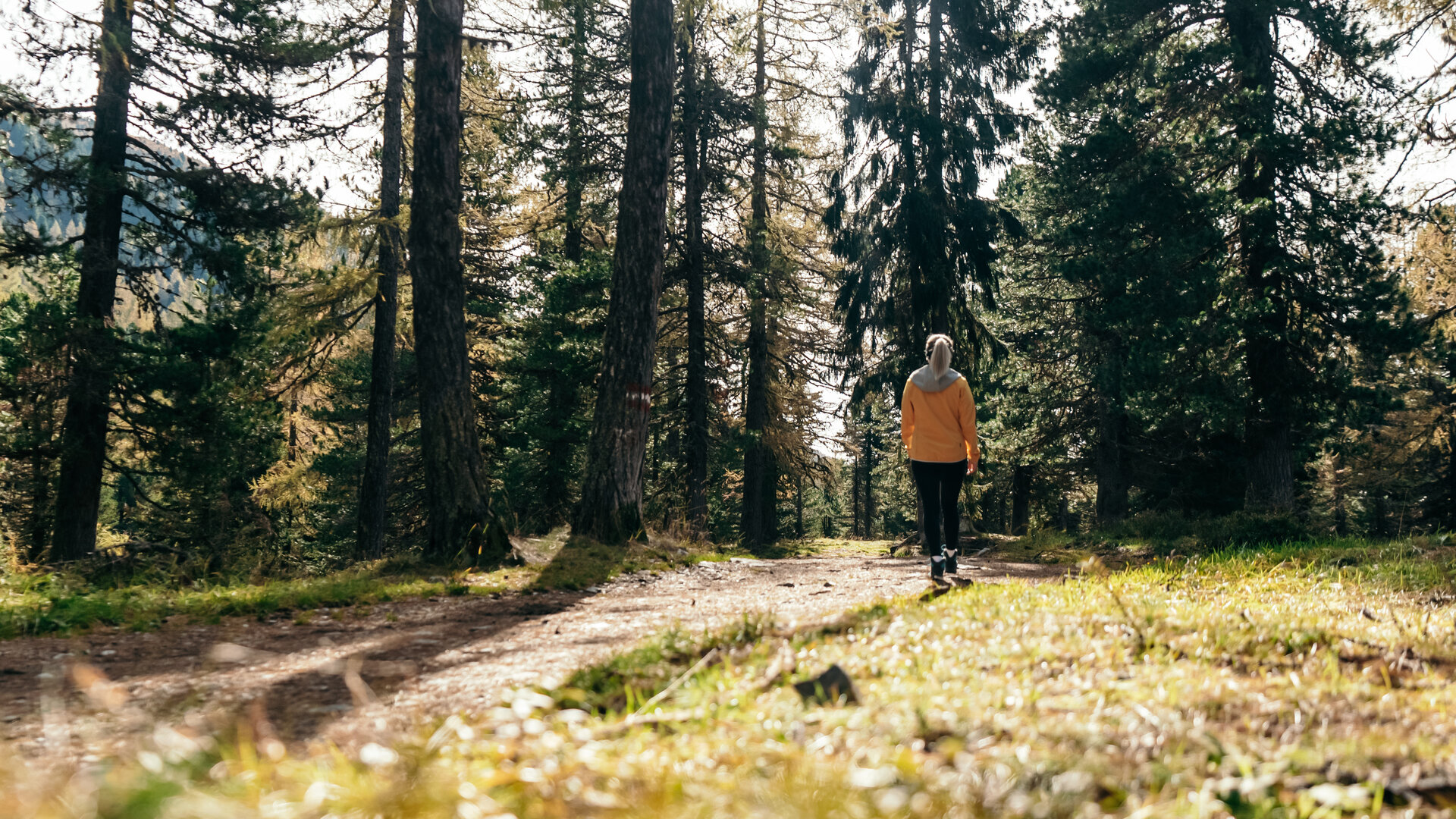 A person walks along a forest path among tall trees, with warm light filtering through the canopy.