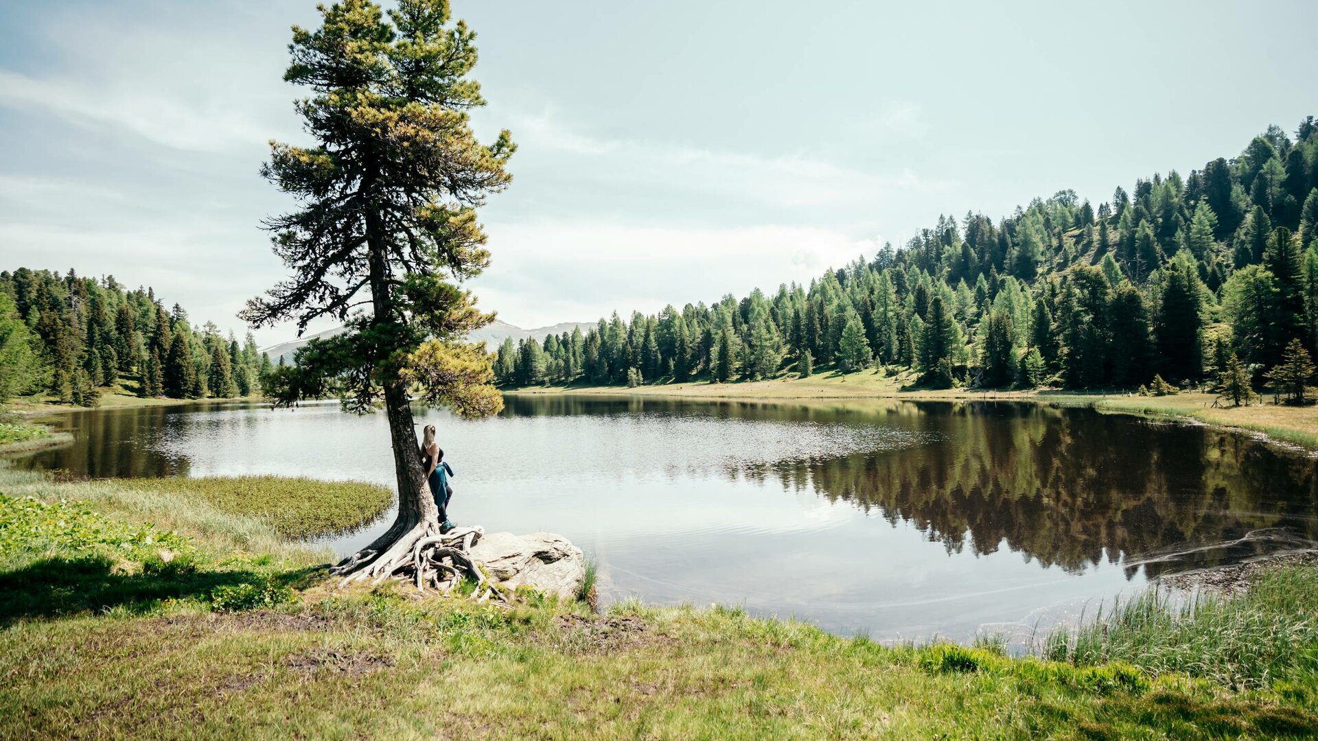 Ein Baum steht am Ufer eines ruhigen Bergsees, daneben lehnt eine Person am Stamm.