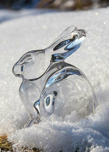 Urlaubsangebote für das ganze Jahr - Turracher Höhe