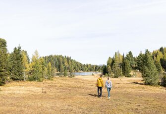 Zwei Personen gehen über eine offene Wiese auf einen See zu, umgeben von Wald auf der Turracher Höhe.