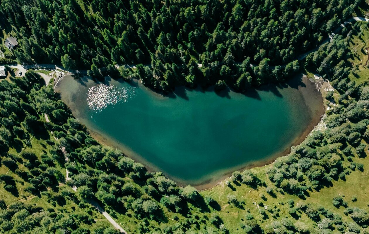 The Turracher See is surrounded by dense forest near Hotel Hochschober on the Turracher Höhe.