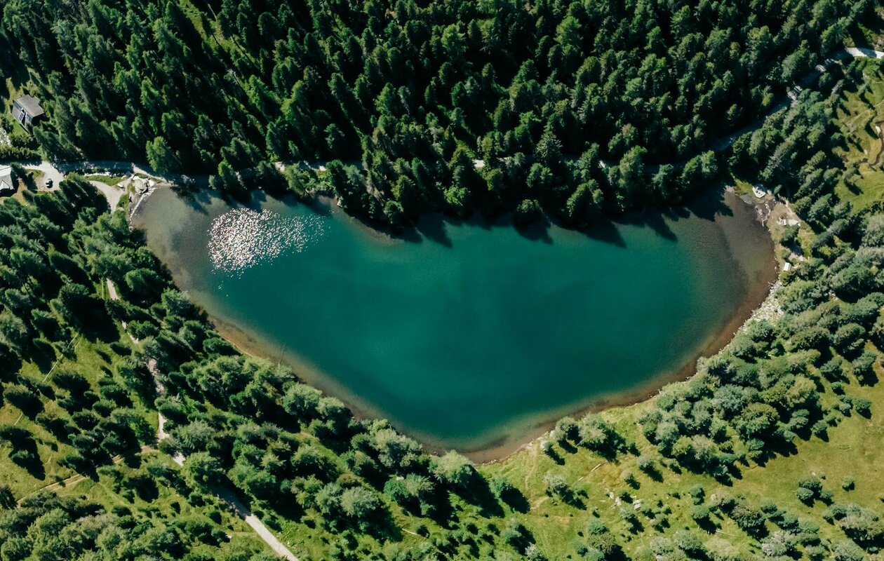 Der Turracher See liegt von dichtem Wald umgeben am Hotel Hochschober auf der Turracher Höhe.