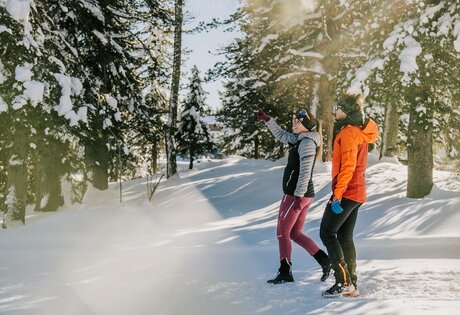 Zwei Personen wandern auf einem verschneiten Waldweg zwischen hohen Tannen im Winter.