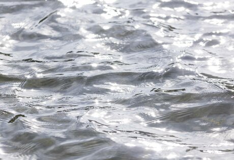 Die leicht bewegte Wasseroberfläche des Sees glänzt im Licht.