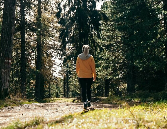 Wanderweg im Herbstwald auf der Turracher Höhe Eine Person geht auf einem Waldweg durch den herbstlichen Nadelwald.