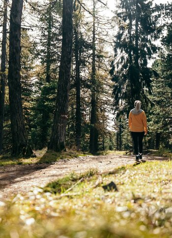 Eine Person geht auf einem Waldweg durch den herbstlichen Nadelwald.