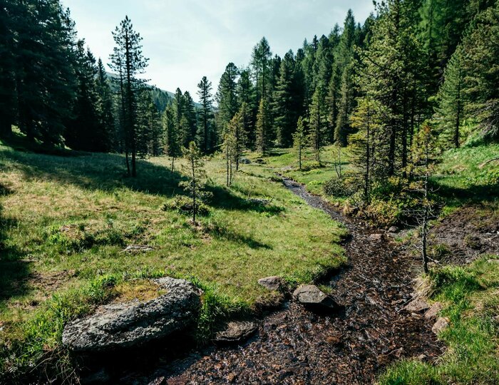 Urlaubsangebote für das ganze Jahr - Turracher Höhe Urlaubsangebote für das ganze Jahr - Turracher Höhe