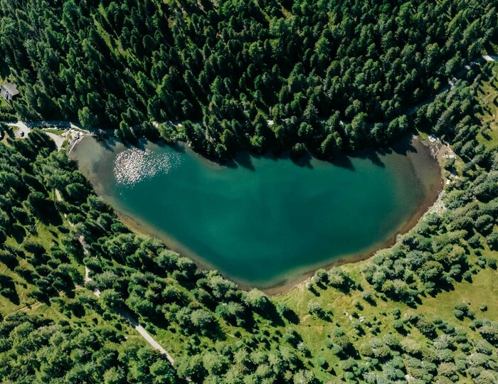 Ein See von oben in einer Form von einem Herzen in einem Wald.