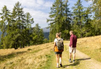 Zwei Wanderer gehen auf einem grasigen Bergweg durch eine alpine Landschaft mit Fichten und Blick in die Berge.