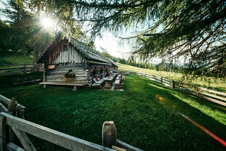 Eine kleine Almhütte steht auf einer Wiese zwischen Bäumen und Zäunen im sonnigen Naturgelände.