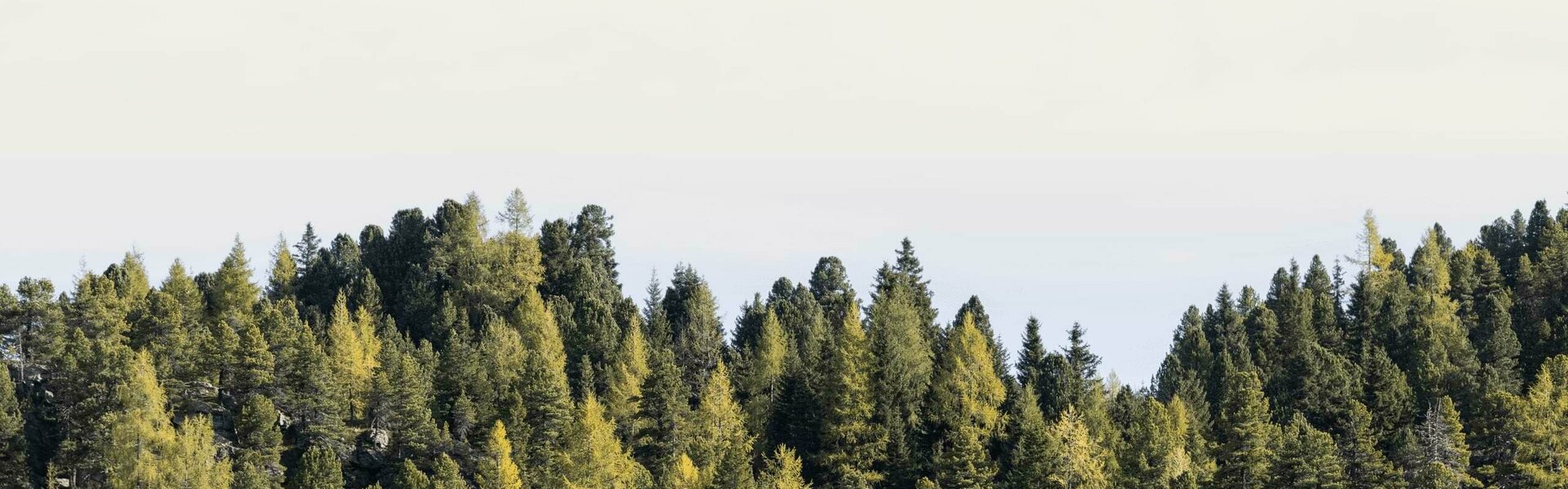 4* Superior Wellness-Hotel Turracher Höhe, Kärnten