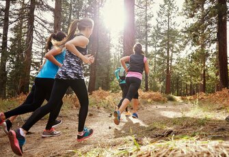 Vier Frauen joggen auf einem Waldweg zwischen hohen Bäumen im Sonnenschein.