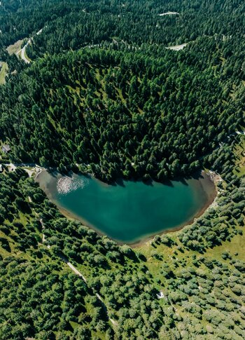 Aerial view of a heart-shaped lake surrounded by dense green forests and rolling hills. The water is a vibrant blue, reflecting the sunlight, while the surrounding landscape features a mix of trees and open grassy areas.