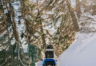 Der Nocky Flitzer fährt auf Schienen durch einen verschneiten Waldhang auf der Turracher Höhe.