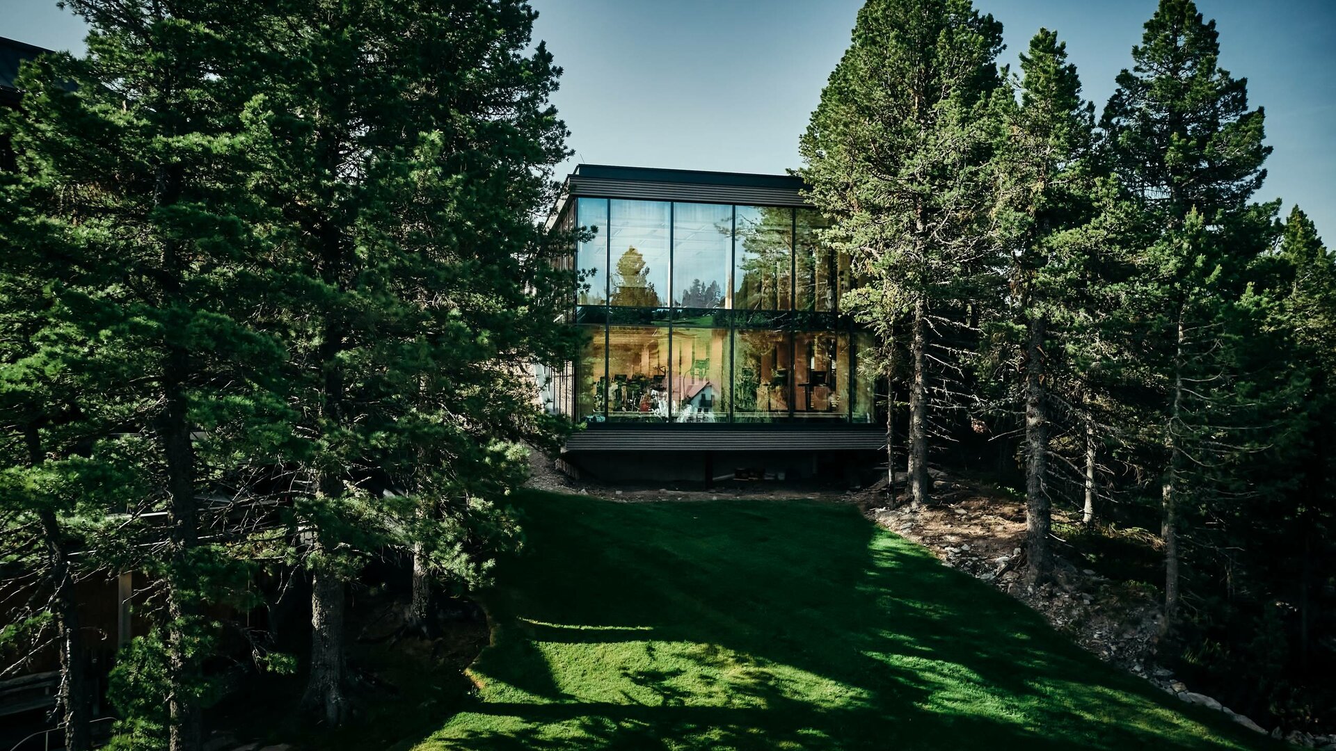 A modern hotel building stands among tall trees on a green hillside near the water.