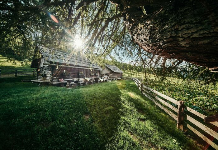 Eine kleine Almhütte steht auf einer grünen Wiese, mit Sonnenlicht durch den Baum und Zaun am Hang.