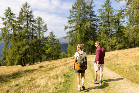 Ein Paar wandert auf einem sonnigen Waldweg über eine alpine Wiese.