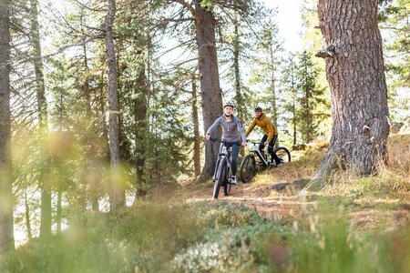 Zwei Mountainbiker stehen auf einem Waldweg zwischen Bäumen und fahren auf der Turracher Höhe durch die Natur.