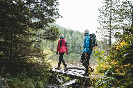 Zwei Wanderer überqueren einen schmalen Holzsteg am See im Wald.