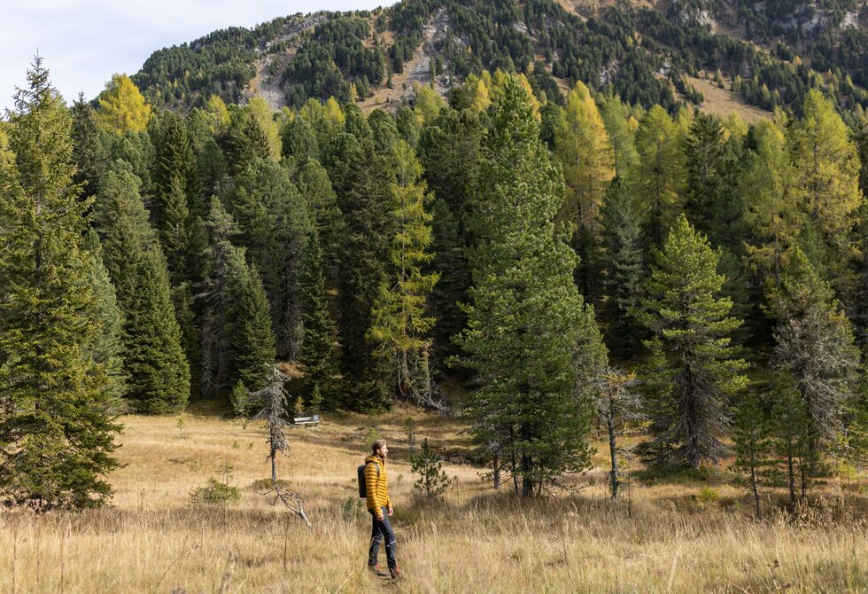A person stands in a meadow in front of dense forest and a mountainside in the Nockberge Mountains.